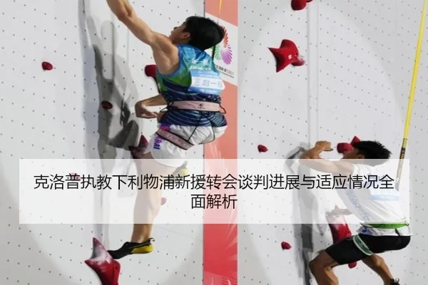 克洛普执教下利物浦新援转会谈判进展与适应情况全面解析
